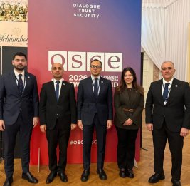 ТЮРКПА направит документы для получения статуса наблюдателя в ПА ОБСЕ