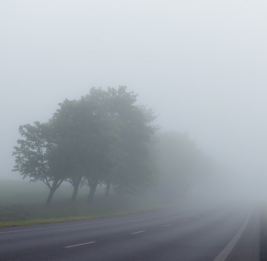 В Баку северо-западный ветер, в некоторых местах туман