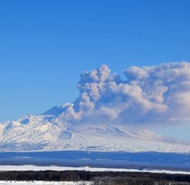 Вулкан Шивелуч изверг пепел на 6 километров в высоту