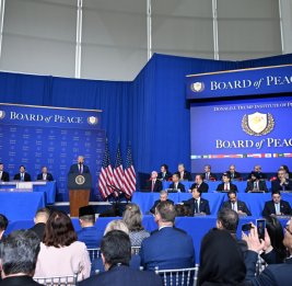 Гибкая альтернатива 