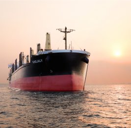 Сухогруз Xocalı успешно завершил рейс из Индонезии в Австралию