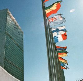 Четыре года войны: ООН требует справедливого мира на основе соблюдения территориальной целостности Украины