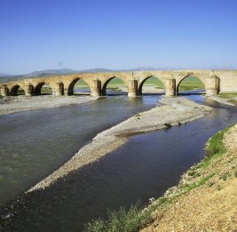 Тревожный сигнал