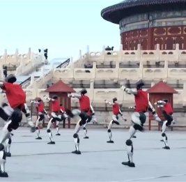 Роботы-гуманоиды устроили шоу боевых искусств у Храма Неба в Пекине