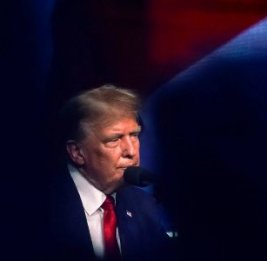 Поддержка в свободном падении