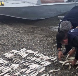 Рыбалка вне закона