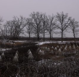ВСУ готовят Одесскую область к круговой обороне