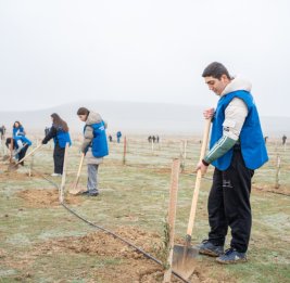 Акция по посадке деревьев, приуроченная к памяти жертв Ходжалинского геноцида
