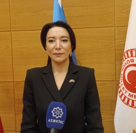 Омбудсмен: Почтение в Анкаре жертв геноцида в Xоджалы - показатель общности исторической памяти Азербайджана и Турции