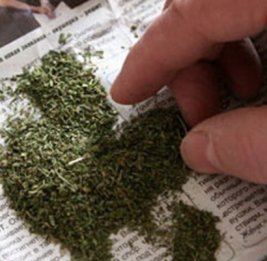 В Азербайджане задержали наркокурьера с 51 кг марихуаны