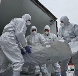 Россия и Украина провели обмен телами погибших военнослужащих