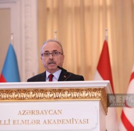 Бирол Акгюн: Азербайджан - важный центр тюркского мира