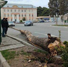 На Гянджу обрушилась стихия