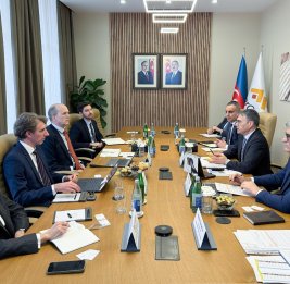 Закир Ибрагимов встретился с вице-президентом Wood Mackenzie