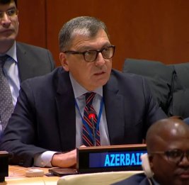 Азербайджан обеспокоен ростом числа смертей вдоль миграционных маршрутов