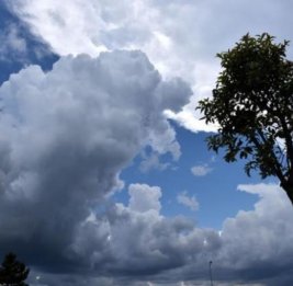 Прогноз погоды на понедельник