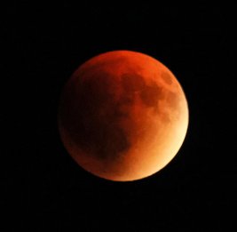 В марте жители Земли смогут наблюдать &laquo;Поцелуй Венеры&raquo;