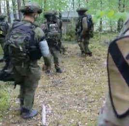 Мема: власти Финляндии при вступлении в НАТО не учли волю народа