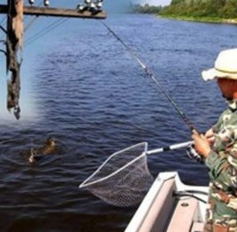 Вопрос экологической безопасности