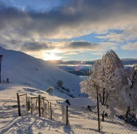 Погода в регионах: снег и туман