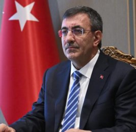 Вице-президент Турции о мераx защиты экономики