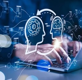 Цифровая вертикаль 