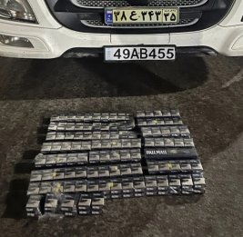 ГПС Азербайджана в феврале выявила контрабанду на сумму свыше 10 млн манатов