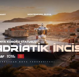 Амбициозная дружина