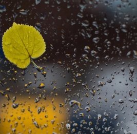 Завтра в Азербайджане ожидаются осадки