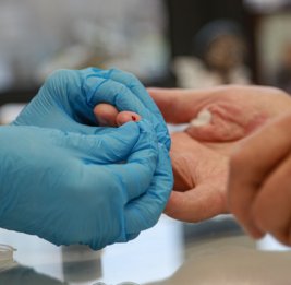 Врач рассказал, как часто нужно сдавать общий анализ крови