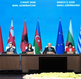 Лейла Алиева выступила на сессии &laquo;Проекты зеленой энергетики&raquo;