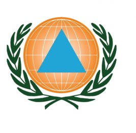 Международная организация гражданской обороны распространила заявление, осуждающее дроновые атаки против Азербайджана