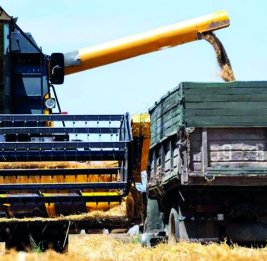 Горючее с привкусом