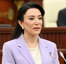 Омбудсмен: Дроновые атаки на Нахчыван противоречат принципам добрососедства