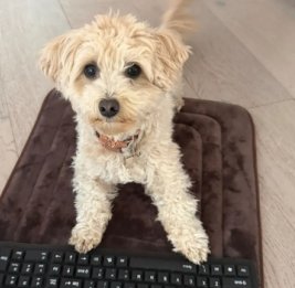 Мотивированная Момо