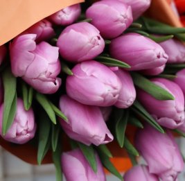 Кыргызстан экспортировал 17 тонн цветов с начала года