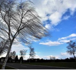 Объявлено желтое предупреждение о ветреной погоде