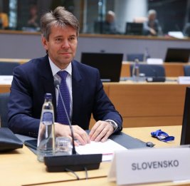 Госсекретарь Словакии по вопросам ЕС выразил солидарность с Азербайджаном
