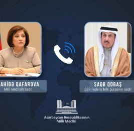 Главы парламентов Азербайджана и ОАЭ осудили атаки Ирана на территории обеих стран