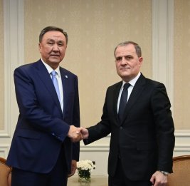 Джейхун Байрамов обсудил с генсеком ОТГ атаки иранских дронов на Нахчыван