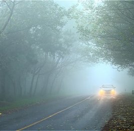 В Азербайджане снизится видимость на ряде дорог