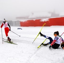 На чемпионате России собака сбила лыжницу во время марафона