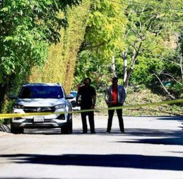 СМИ: В США женщина открыла огонь по дому певицы Рианны