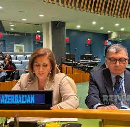 Бахар Мурадова выступила в ООН от имени ОТГ