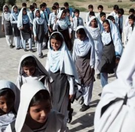 Вынужденные меры