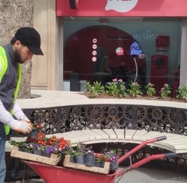 Гянджа в объятиях весны