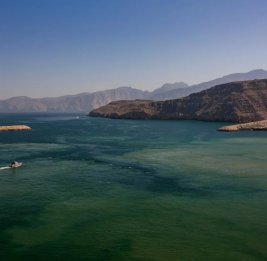 Индия ищет варианты безопасного вывода 36 своих судов через Ормузский пролив