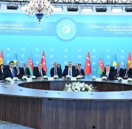 Механизм политической страховки