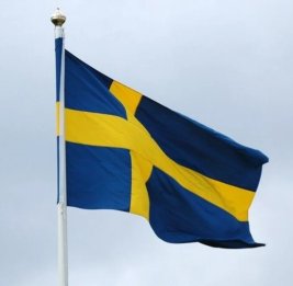 Швеция выделит $7,8 млн на поддержку женщин в Украине