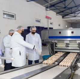 Стратегия продовольственного суверенитета